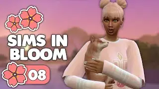 The Family Expands!🌼 Sims In Bloom 56 || The Sims 4