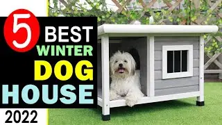 Best Dog House for Winter 2022 🏆 Top 5 Best Winter Dog House Reviews