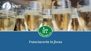 Franciacorta in focus