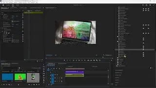 PREMIERE PRO - Lesson 14 - VFX, Stabilize, Warp, Blur, Sharpen, 3D, Chroma Key, Luma and Alpha Mask