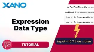 Introducing the Expression Data Type