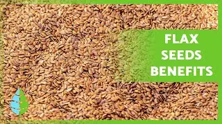 The Power of FLAX SEEDS✅ Health Benefits, Uses & Recipes