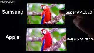 Apple Retina XDR OLED vs SAMSUNG Super AMOLED display Comparison in 2023