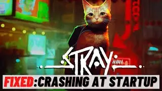 How to Fix: Stray Keep Crashing on Startup on PC