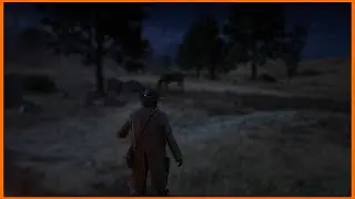 This Is The Shortest Mission In RDR2