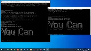 Copy Paste Text Windows Host to Linux Guest Terminal VirtualBox