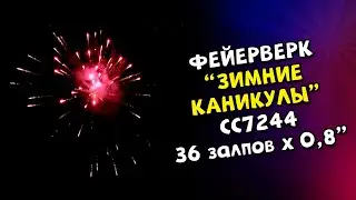 Cалют, фейерверк Зимние каникулы 36 залпов х 0,8 калибр арт  СС7244 супер салют