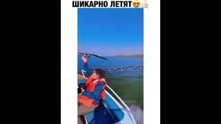 Однажды в лодке