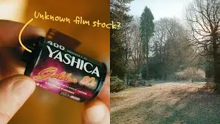 Why you should try this film stock by Yashica