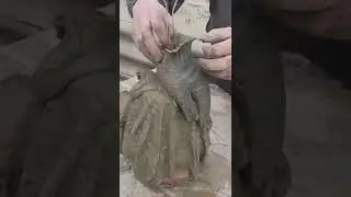 DIY Вазон из цемента своими руками Идеи из цемента Цементный горшок для цветов #Cement