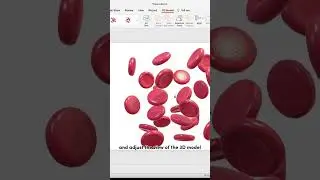I bet your don’t know this feature in PowerPoint 🤫