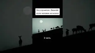 Что случится с землёй если человек исчезнет