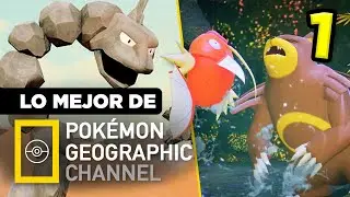 Lo MEJOR de Pokémon Geographic Channel