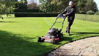 Autumn Mowing, Mulching and Striping a Lawn