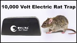 Owltra Infrared Electronic Rat Trap. 6,000 - 10,000 Volts. Mousetrap Monday.