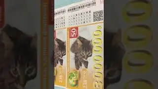 23 марта 2020 г.