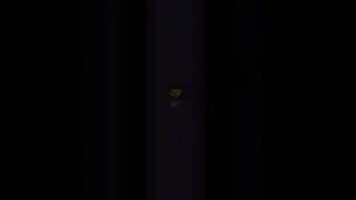 undertale_vhs.mp4