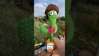 Dancing Cactus