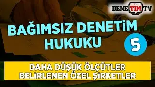 Daha Düşük Ölçütler Belirlenen Denetime Tabi Özel Şirketler | Bağımsız Denetim Hukuku