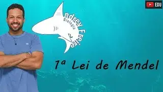 LIVE - Genetics - Mendel's 1st law - Biology - Biology with Sharks