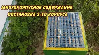 многокорпусное содержание постановка 3-го корпуса