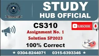 CS310 Assignment 1 Solution Spring 2023, CS310 Assignment 1 solution 2023, CS310 assig 1 solution