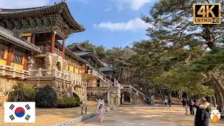 Bulguksa Temple, Gyeongju, Korea🇰🇷 The Most Most Beautiful Temple in Korea (4K HDR)