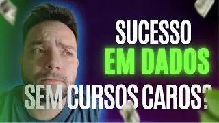 A Verdade sobre Analista de Dados: Você Realmente Precisa de um Curso?