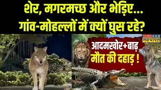 Animals Attack News:हिंदुस्तान में आदमखोर+बाढ़...शहर-शहर मौत की दहाड़!| Latest Hindi News |Top News