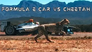 Formula E Car vs Cheetah | Edit