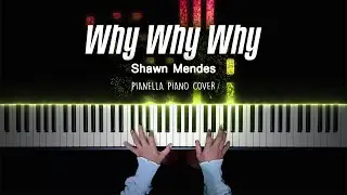 Shawn Mendes - Why Why Why | Piano Cover by Pianella Piano