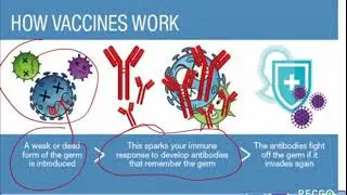 Information and Knowledge about Vaccines - part 1