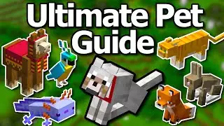 Ultimate Minecraft 1.20 Pet Mob Guide | How To Tame All Mobs Cat Wolf Parrot Llama Fox & More!