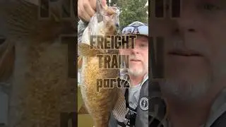 Huge 21-in with the biggest head I'd seen #riverfishing #bassfishing #smallmouthbass #shorts