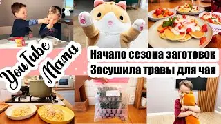 ПЕРЕШЛА НА ПП 🥒🍅◾ СУШУ ЧАБРЕЦ ДЛЯ ЧАЯ 🌿◾ВОПРОСЫ ПРО ДЕТЕЙ 😊◾ ПАСТА КАРБОНАРА 🍝◾РОМАН-БОТАН 👱‍♂️👋