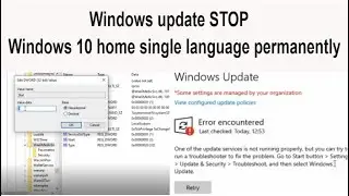 How to stop windows update in windows 10 home single language permanently