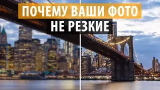 3 Причины нерезких фотографий, или как избежать размытых снимков