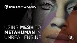 Using Mesh to MetaHuman in UE | Unreal Engine