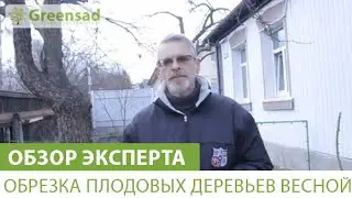 Обрезка плодовых деревьев весной