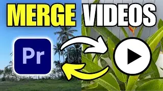 How To Merge Two Videos Into One in Adobe Premiere Pro