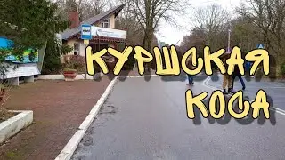 Лучшее, что есть в Калининградкой области! Куршская Коса!