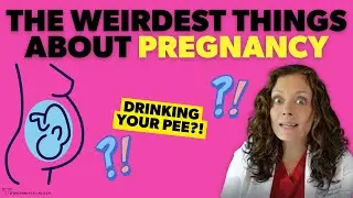 The WEIRDEST but *true* facts about PREGNANCY!! |  Dr. Jennifer Lincoln