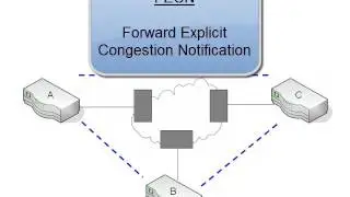 9. Frame Relay Congestion Control