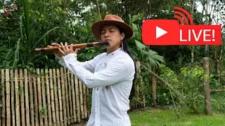 Live Andean Music for the Soul from Nature