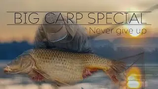 BIG CARP SPECIAL 🇫🇷 - Never Give Up - Otto Reade