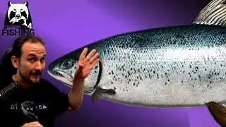 Russian Fishing 4 - Wolchow - Schleppen! Lachs, Hecht, Rapfen