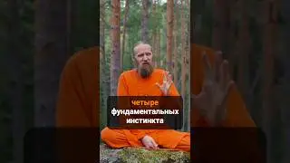 Не дай инстинкту управлять тобой