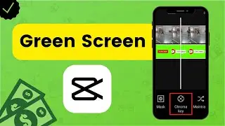 How to Green Screen in Capcut?