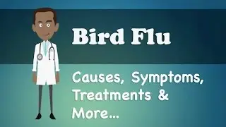 Bird Flu - Causes, Symptoms, Treatments & More…