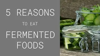 Why eat fermented foods?  5 REASONS why they benefit YOU